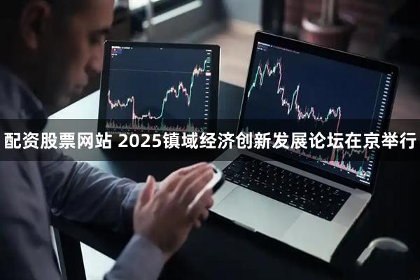 配资股票网站 2025镇域经济创新发展论坛在京举行
